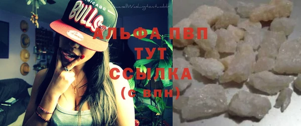 гидра Богородск
