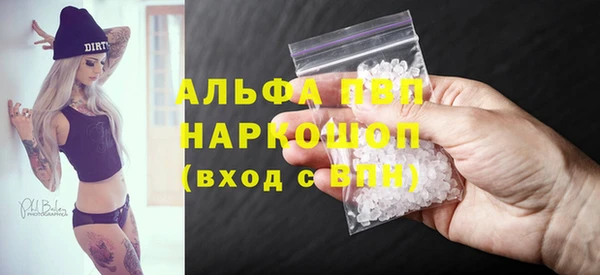 индика Богородицк