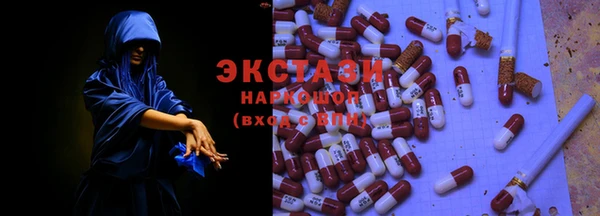 индика Богородицк