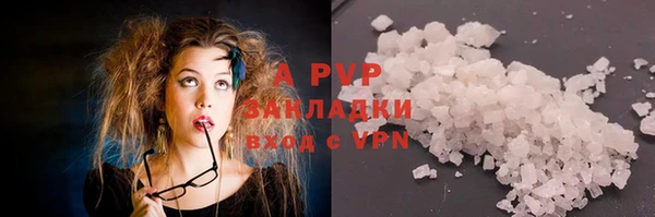 гидра Богородск