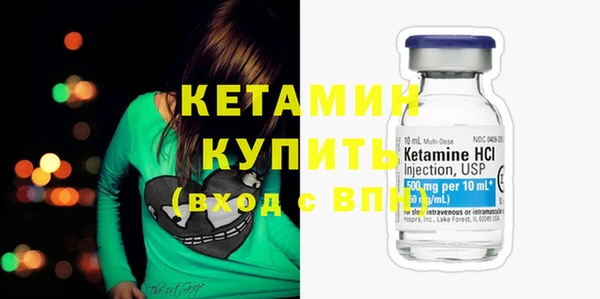 индика Богородицк