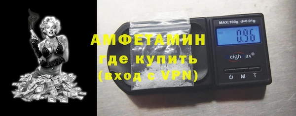 гидра Богородск