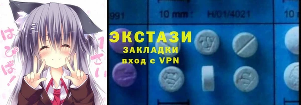 индика Богородицк