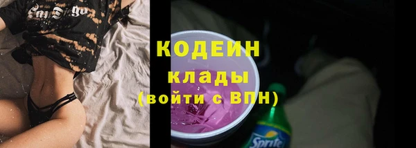 индика Богородицк