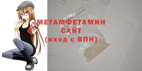 индика Богородицк