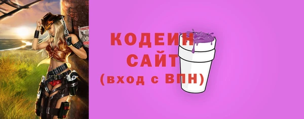 гидра Богородск