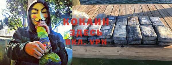 индика Богородицк