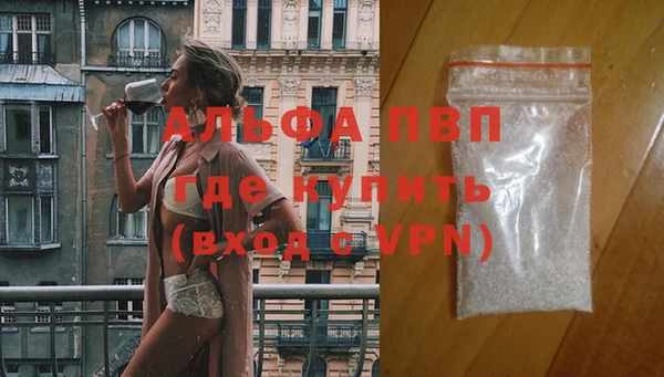 индика Богородицк