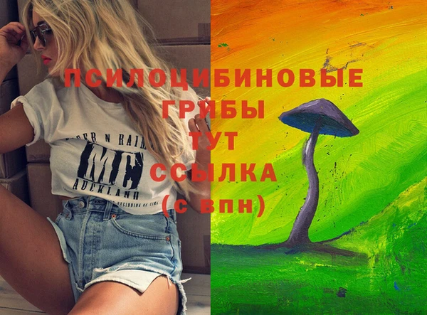 гидра Богородск