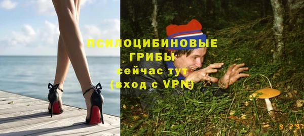 индика Богородицк
