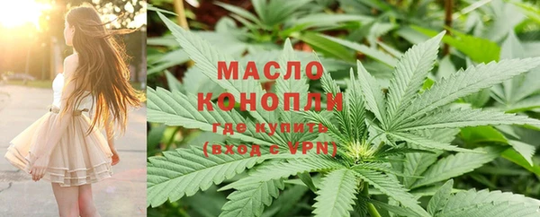индика Богородицк