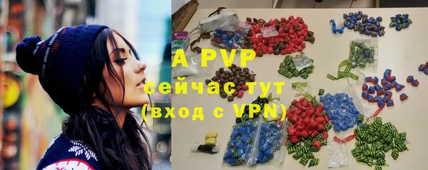 индика Богородицк