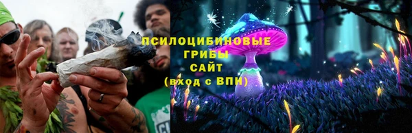 гидра Богородск