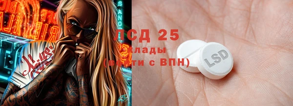 индика Богородицк