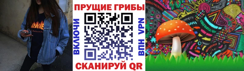 Псилоцибиновые грибы Psilocybine cubensis  даркнет официальный сайт  Купино  закладка 