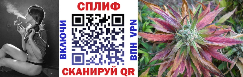 МАРИХУАНА план  хочу наркоту  MEGA ссылка  Купино 